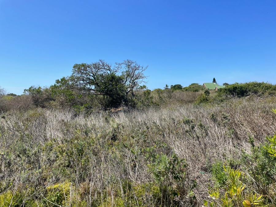 0 Bedroom Property for Sale in Forest Downs Eastern Cape